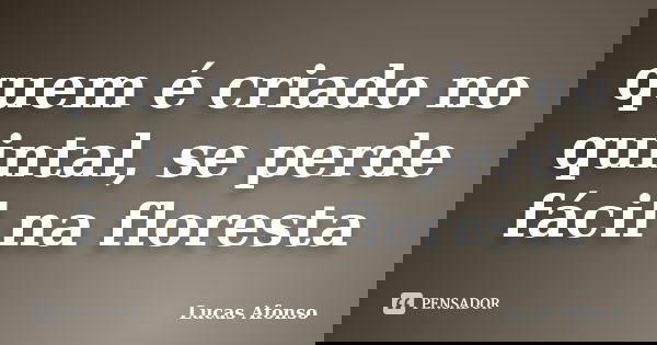 quem é criado no quintal, se perde fácil na floresta... Frase de Lucas Afonso.