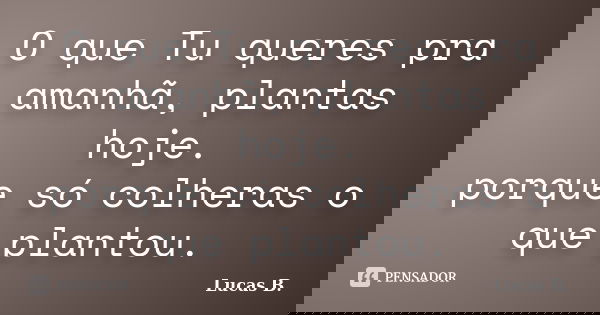 O que Tu queres pra amanhã, plantas hoje. porque só colheras o que plantou.... Frase de Lucas B..