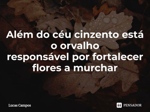 ⁠Além do céu cinzento está o orvalho
responsável por fortalecer flores a murchar... Frase de Lucas Campos.