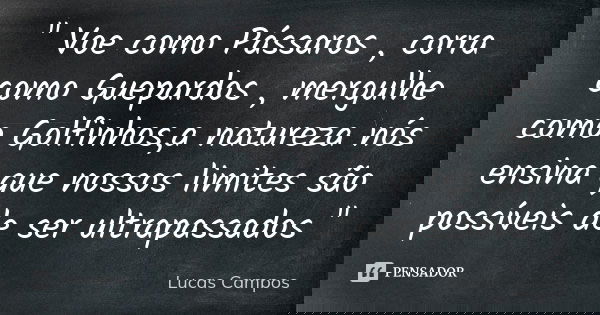 " Voe como Pássaros , corra como Guepardos , mergulhe como Golfinhos,a natureza nós ensina que nossos limites são possíveis de ser ultrapassados "... Frase de Lucas Campos.