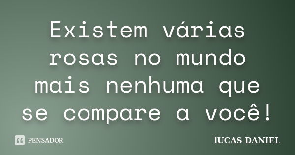 Existem várias rosas no mundo mais nenhuma que se compare a você!... Frase de Lucas Daniel.