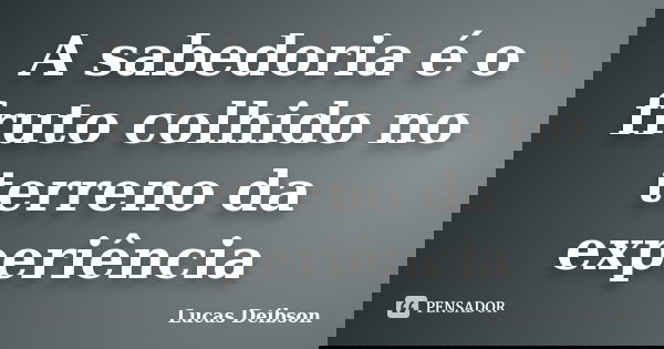 A sabedoria é o fruto colhido no terreno da experiência... Frase de Lucas Deibson.
