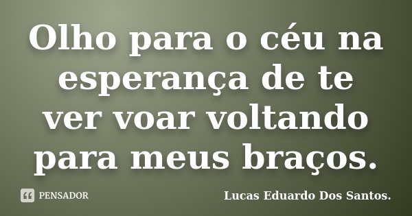 Olho para o céu na esperança de te ver voar voltando para meus braços.... Frase de Lucas Eduardo Dos Santos.