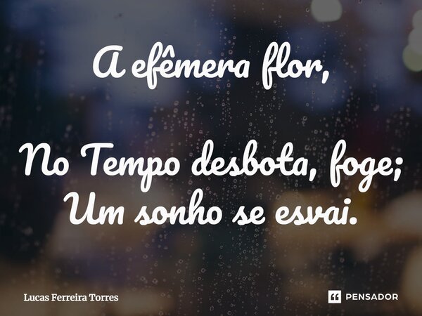 A efêmera flor, No Tempo desbota, foge; Um sonho se esvai.... Frase de Lucas Ferreira Torres.