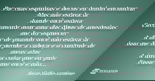 Por ruas esquinas e becos eu tentei encontrar Mas não estava la Aonde você estava Certamente nem uma dos tipos de anestesias me fez esquecer A dor de quando voc... Frase de Lucas Fialho Cardoso.