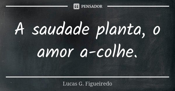 A saudade planta, o amor a-colhe.... Frase de Lucas G. Figueiredo.