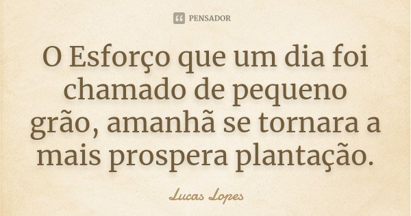 O Esforço que um dia foi chamado de pequeno grão, amanhã se tornara a mais prospera plantação.... Frase de Lucas Lopes.