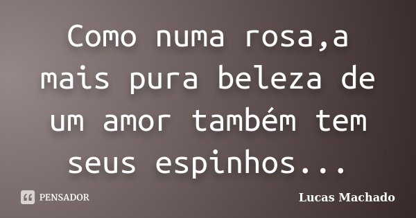 Como numa rosa,a mais pura beleza de um amor também tem seus espinhos...... Frase de Lucas Machado.