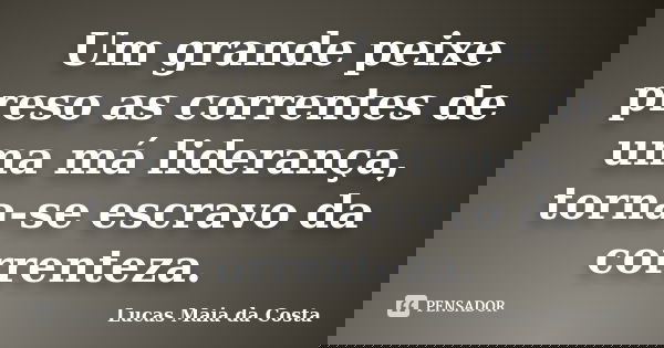 Um grande peixe preso as correntes de uma má liderança, torna-se escravo da correnteza.... Frase de Lucas Maia da Costa.