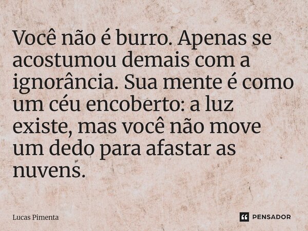 ⁠Você não é burro. Apenas se acostumou demais com a ignorância. Sua mente é como um céu encoberto: a luz existe, mas você não move um dedo para afastar as nuven... Frase de Lucas Pimenta.
