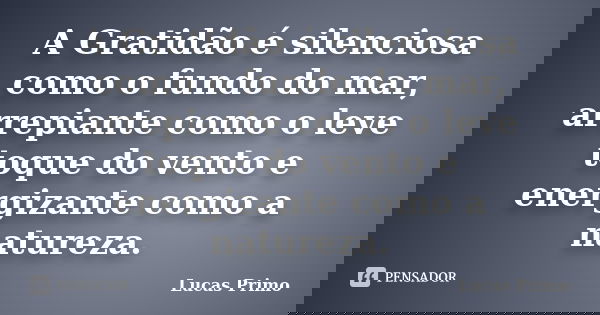 A Gratidão é silenciosa como o fundo do mar, arrepiante como o leve toque do vento e energizante como a natureza.... Frase de Lucas Primo.