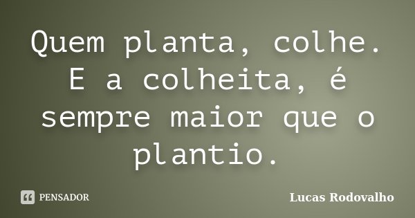 Quem planta, colhe. E a colheita, é sempre maior que o plantio.... Frase de Lucas Rodovalho.
