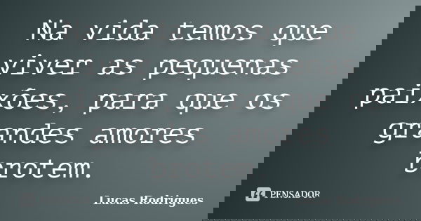 Na vida temos que viver as pequenas paixões, para que os grandes amores brotem.... Frase de Lucas Rodrigues.