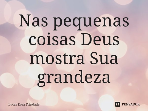 ⁠Nas pequenas coisas Deus mostra Sua grandeza... Frase de Lucas Rosa Trindade.