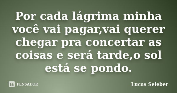 Por cada lágrima minha você vai pagar,vai querer chegar pra concertar as coisas e será tarde,o sol está se pondo.... Frase de Lucas Seleber.