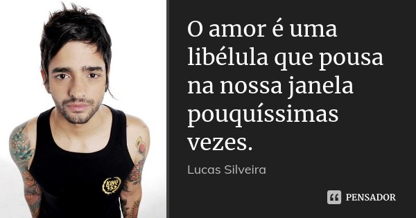 O amor é uma libélula que pousa na nossa janela pouquíssimas vezes.... Frase de Lucas Silveira.