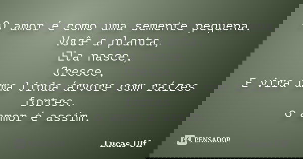 O amor é como uma semente pequena. Você a planta, Ela nasce, Cresce, E vira uma linda árvore com raízes fortes. o amor é assim.... Frase de Lucas Ulf.