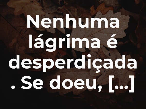 Nenhuma lágrima é desperdiçada. Se doeu, ensinou. Se ficou, fortaleceu. Se partiu, libertou. E mesmo sem entender agora, uma hora tudo se encaixa. Porque o que ... Frase de Lucas Wilde.