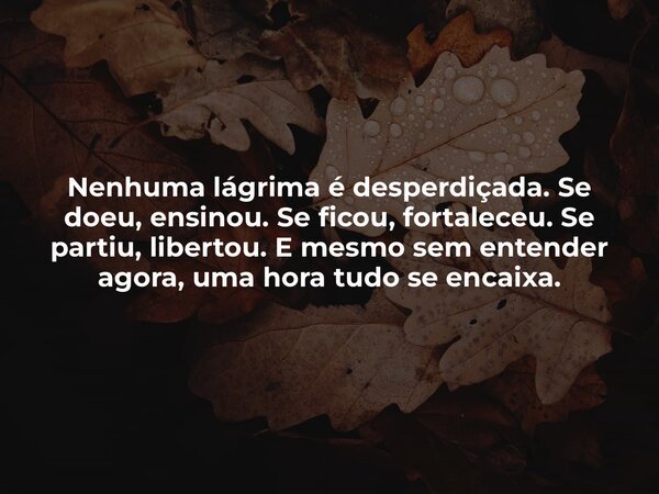 Nenhuma lágrima é desperdiçada. Se doeu, ensinou. Se ficou, fortaleceu. Se partiu, libertou. E mesmo sem entender agora, uma hora tudo se encaixa.... Frase de Lucas Wilde.