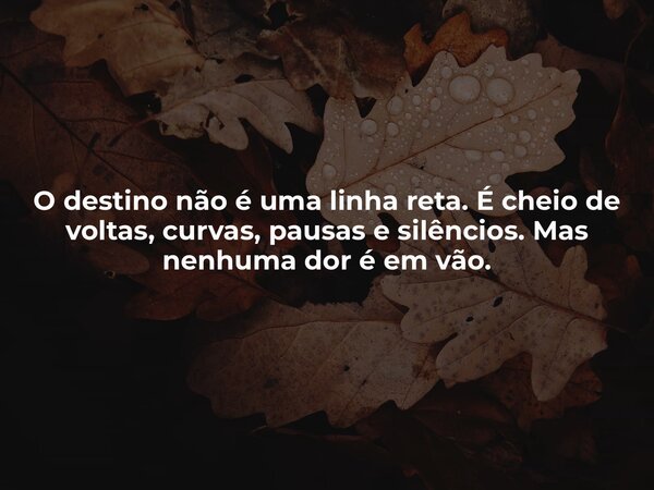 O destino não é uma linha reta. É cheio de voltas, curvas, pausas e silêncios. Mas nenhuma dor é em vão.... Frase de Lucas Wilde.