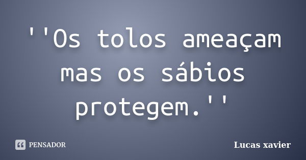 ''Os tolos ameaçam mas os sábios protegem.''... Frase de Lucas Xavier.