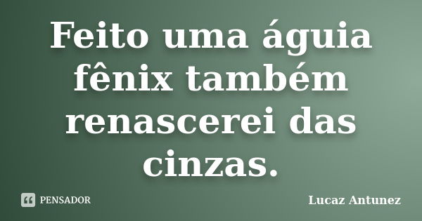 Feito uma águia fênix também renascerei das cinzas.... Frase de Lucaz Antunez.