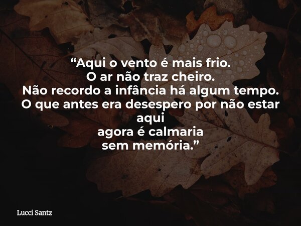 “Aqui o vento é mais frio. O ar não traz cheiro. Não recordo a infância há algum tempo. O que antes era desespero por não estar aqui agora é calmaria sem memóri... Frase de Lucci Santz.