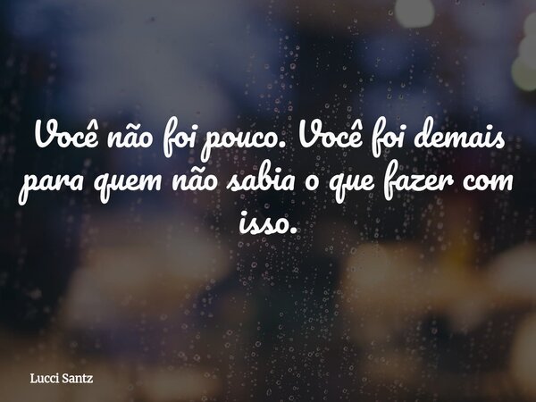 Você não foi pouco. Você foi demais para quem não sabia o que fazer com isso.... Frase de Lucci Santz.