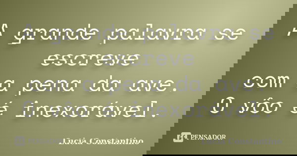 A grande palavra se escreve com a pena da ave. O vôo é inexorável.... Frase de Lúcia Constantino.