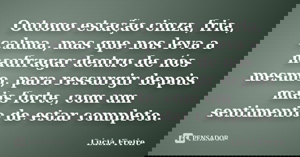 Outono estação cinza, fria, calma, mas que nos leva a naufragar dentro de nós mesmo, para ressurgir depois mais forte, com um sentimento de estar completo.... Frase de Lucia freire.