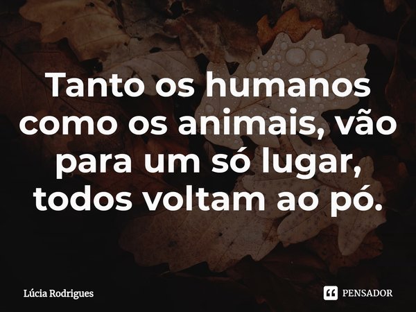 ⁠Tanto os humanos como os animais, vão para um só lugar, todos voltam ao pó.... Frase de Lúcia Rodrigues.