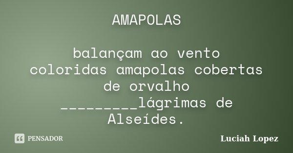AMAPOLAS balançam ao vento coloridas amapolas cobertas de orvalho _________lágrimas de Alseídes.... Frase de Luciah Lopez.