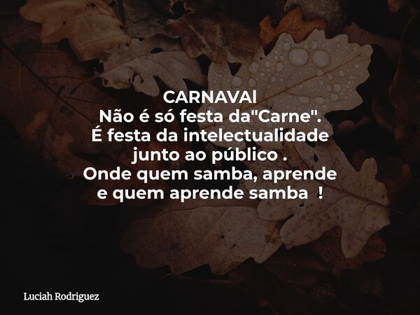 CARNAVAl Não é só festa da "Carne"⁠. É festa da intelectualidade junto ao público . Onde quem samba, aprende e quem aprende samba !... Frase de Luciah Rodriguez.