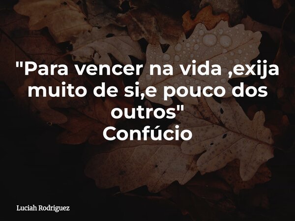 "Para vencer na vida ,exija muito de si,e pouco dos outros " Confúcio... Frase de Luciah Rodriguez.