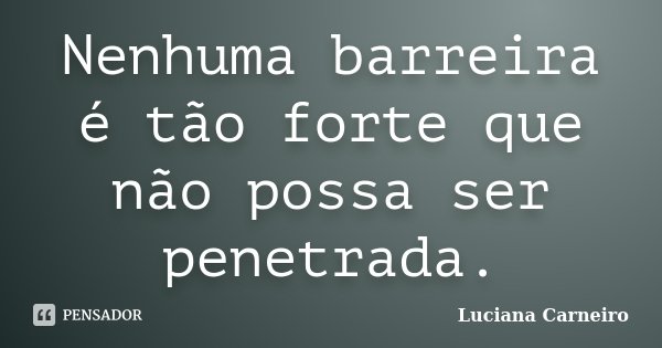 Nenhuma barreira é tão forte que não possa ser penetrada.... Frase de Luciana Carneiro.