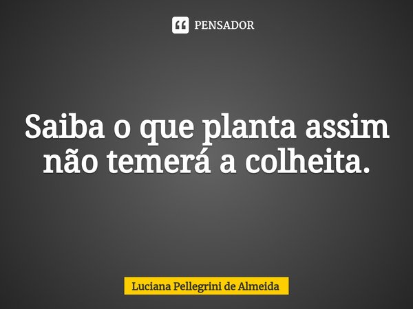 Saiba o que planta assim não temerá a colheita.⁠... Frase de Luciana Pellegrini de Almeida.