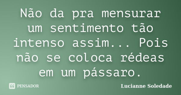 Não da pra mensurar um sentimento tão intenso assim... Pois não se coloca rédeas em um pássaro.... Frase de Lucianne Soledade.