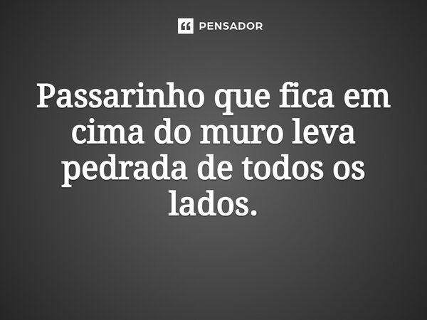 ⁠Passarinho que fica em cima do muro leva pedrada de todos os lados.