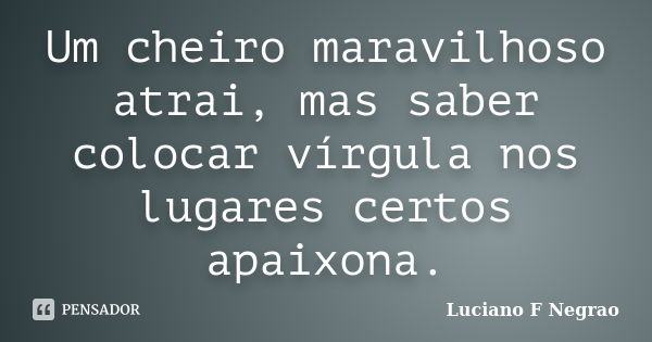 Um cheiro maravilhoso atrai, mas saber colocar vírgula nos lugares certos apaixona.... Frase de Luciano F Negrao.