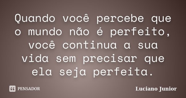 Quando você percebe que o mundo não é perfeito, você continua a sua vida sem precisar que ela seja perfeita.... Frase de Luciano Junior.
