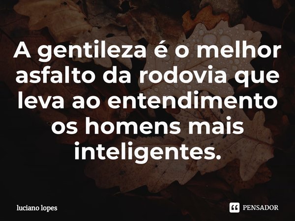 ⁠A gentileza é o melhor asfalto da rodovia que leva ao entendimento os homens mais inteligentes.... Frase de luciano lopes.