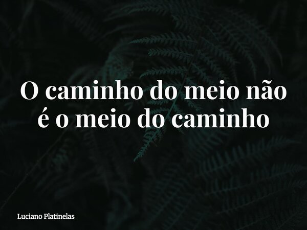 O caminho do meio não é o meio do caminho... Frase de Luciano Platinelas.