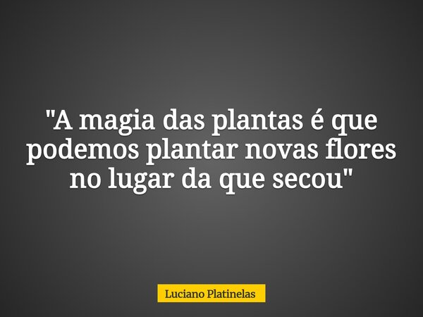 "A magia das plantas é que podemos plantar novas flores no lugar da que secou"... Frase de Luciano Platinelas.
