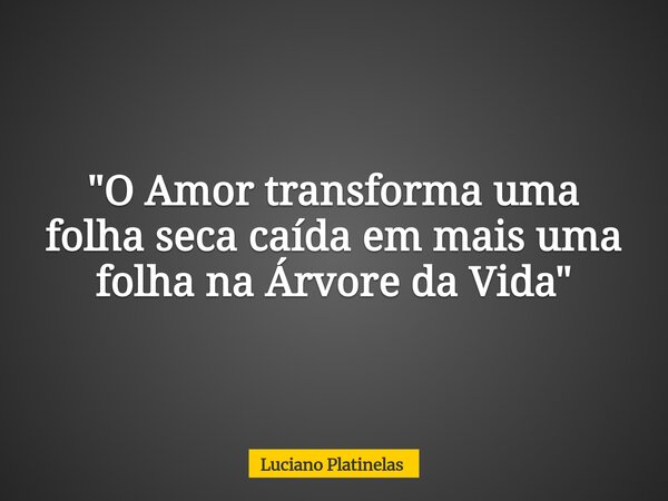 "O Amor transforma uma folha seca caída em mais uma folha na Árvore da Vida"... Frase de Luciano Platinelas.