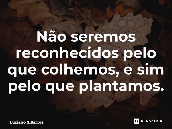⁠Não seremos reconhecidos pelo que colhemos, e sim pelo que plantamos.... Frase de Luciano S.Barros.
