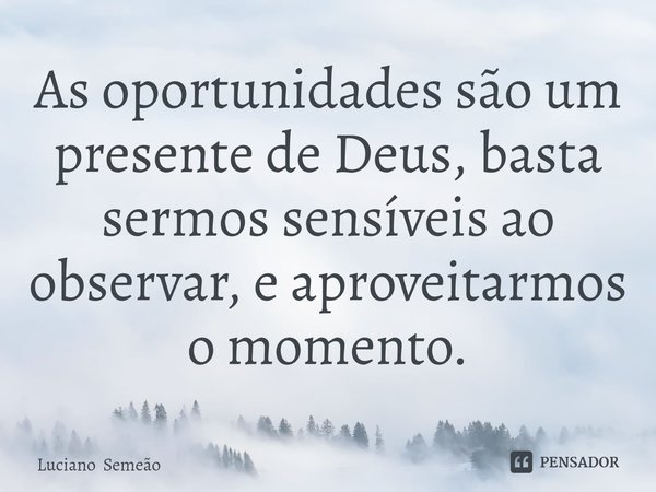 ⁠As oportunidades são um presente de Deus, basta sermos sensíveis ao observar, e aproveitarmos o momento.... Frase de Luciano Semeão.