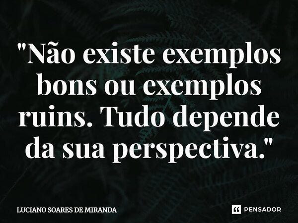 ⁠"Não existe exemplos bons ou exemplos ruins. Tudo depende da sua perspectiva."... Frase de Luciano Soares de Miranda.