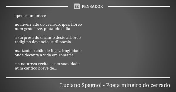 apenas um breve no invernado do cerrado, ipês, flóreo num gesto leve, pintando o dia a surpresa do encanto deste arbóreo redigi no devaneio, sutil poesia matiza... Frase de Luciano Spagnol - poeta mineiro do cerrado.