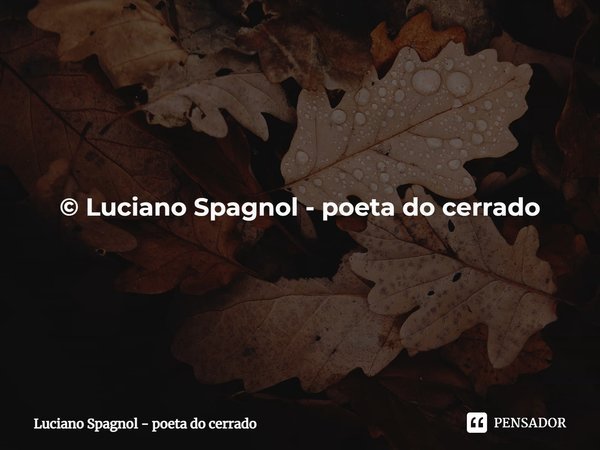 ⁠BAMBO .... Se o amor bater de novo na sensação
arrependido, para o meu sentimento
hei de dizer-te tudo com cara razão
e poética, quanto rasga o sofrimento Pouc... Frase de Luciano Spagnol - poeta do cerrado.