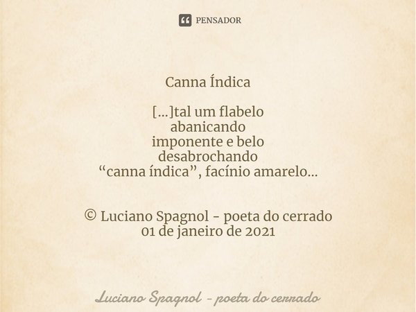 ⁠Canna Índica [...]tal um flabelo
abanicando
imponente e belo
desabrochando
“canna índica”, facínio amarelo... © Luciano Spagnol - poeta do cerrado
01 de janeir... Frase de Luciano Spagnol - poeta do cerrado.